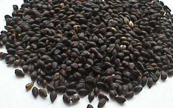 �ڿ����Ĺ�Ч������ �ڿ������ʲô����������ֵ